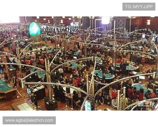 多样化的真人视讯投注游戏选择满足不同玩家的娱乐需求体验专业荷官现场互动的乐趣